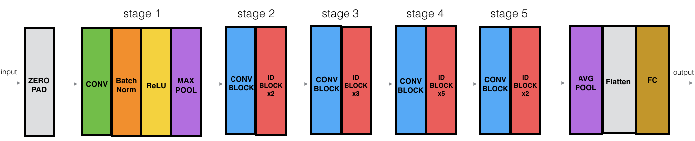 ResNet-50 architecture