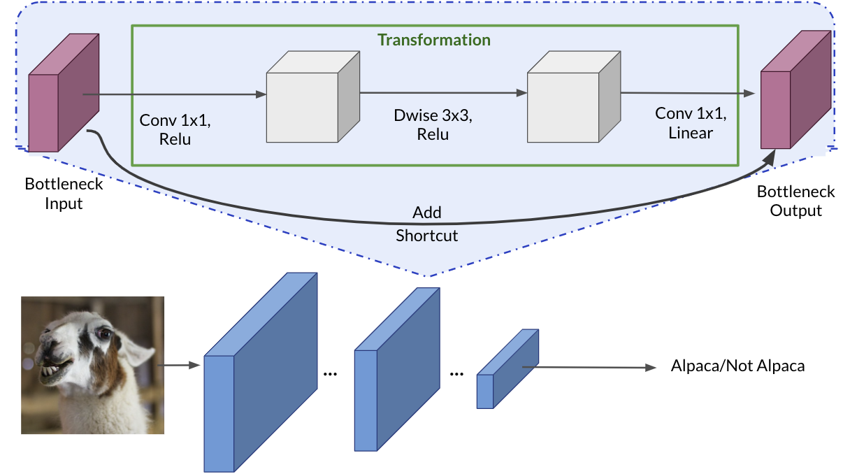 MobileNetV2 architecture